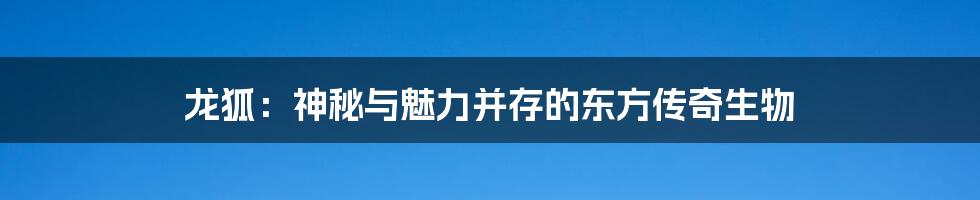 龙狐：神秘与魅力并存的东方传奇生物