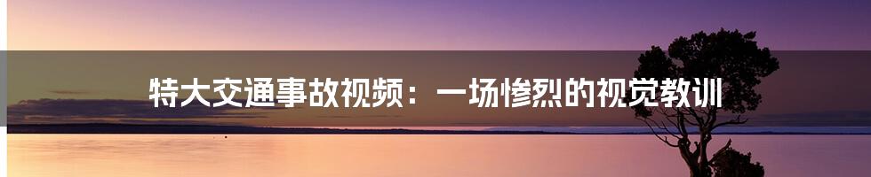 特大交通事故视频:一场惨烈的视觉教训