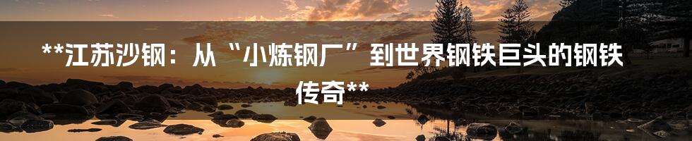 **江苏沙钢:从“小炼钢厂”到世界钢铁巨头的钢铁传奇**