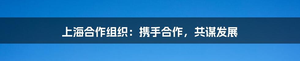 上海合作组织：携手合作，共谋发展