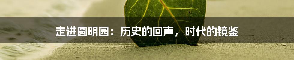 走进圆明园:历史的回声,时代的镜鉴