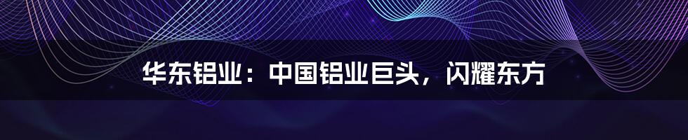 华东铝业:中国铝业巨头,闪耀东方