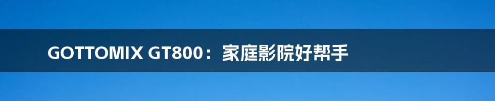GOTTOMIX GT800:家庭影院好帮手