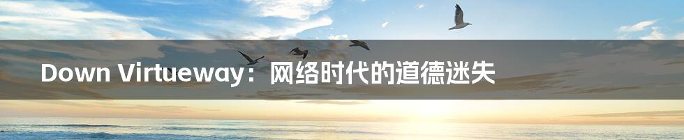 Down Virtueway:网络时代的道德迷失