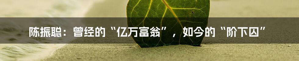 陈振聪:曾经的“亿万富翁”,如今的“阶下囚”