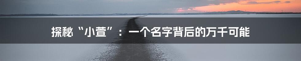 探秘“小萱”:一个名字背后的万千可能
