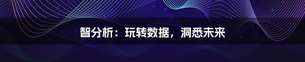 智分析:玩转数据,洞悉未来