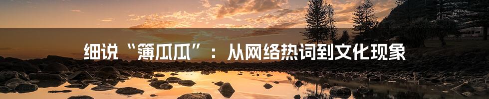 细说“簿瓜瓜”：从网络热词到文化现象