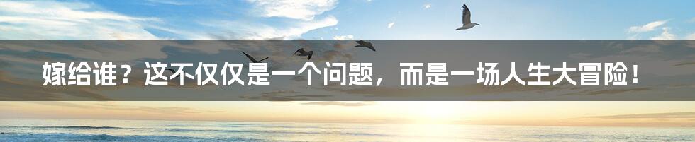 嫁给谁?这不仅仅是一个问题,而是一场人生大冒险!