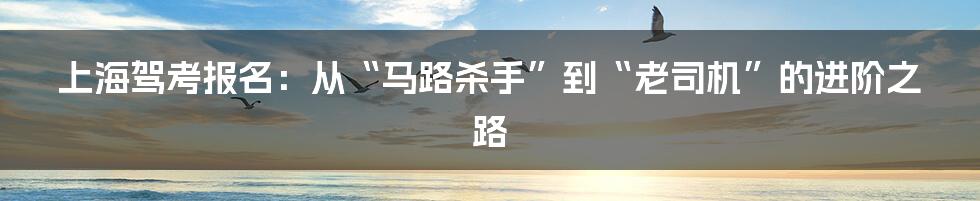 上海驾考报名:从“马路杀手”到“老司机”的进阶之路