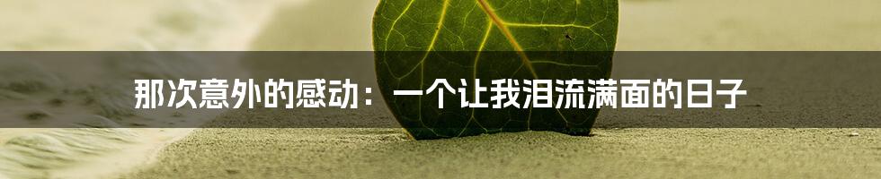 那次意外的感动:一个让我泪流满面的日子