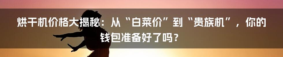 烘干机价格大揭秘：从“白菜价”到“贵族机”，你的钱包准备好了吗？