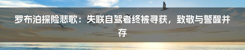 罗布泊探险悲歌:失联自驾者终被寻获,致敬与警醒并存