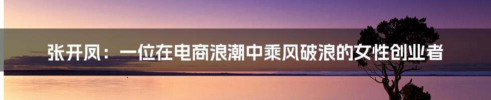 张开凤:一位在电商浪潮中乘风破浪的女性创业者