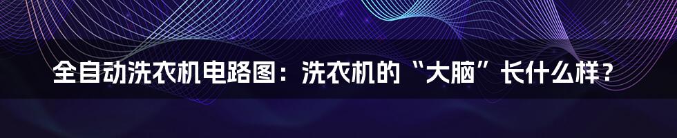 全自动洗衣机电路图:洗衣机的“大脑”长什么样?