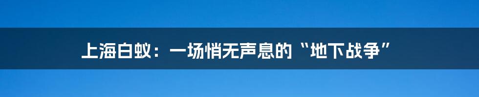 上海白蚁:一场悄无声息的“地下战争”