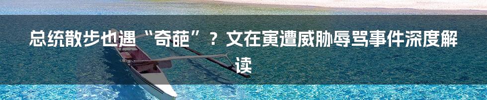 总统散步也遇“奇葩”？文在寅遭威胁辱骂事件深度解读