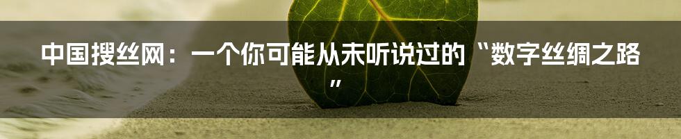 中国搜丝网:一个你可能从未听说过的“数字丝绸之路”