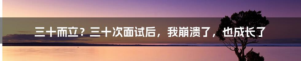 三十而立?三十次面试后,我崩溃了,也成长了