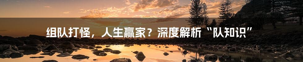 组队打怪,人生赢家?深度解析“队知识”