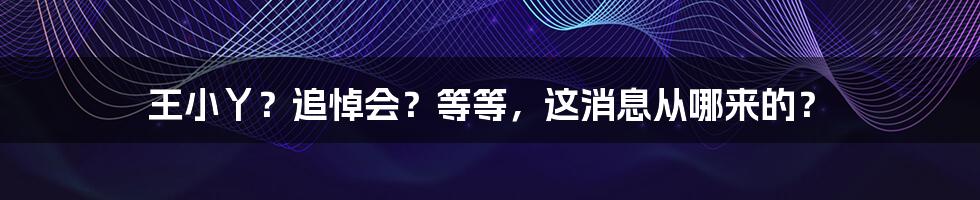 王小丫？追悼会？等等，这消息从哪来的？