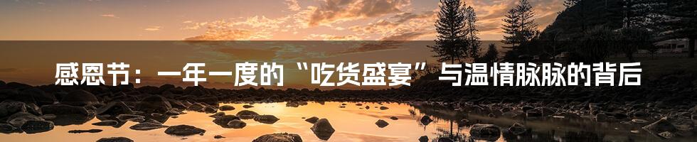 感恩节：一年一度的“吃货盛宴”与温情脉脉的背后