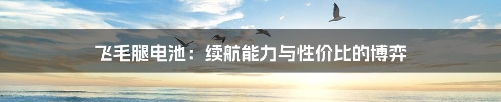 飞毛腿电池:续航能力与性价比的博弈