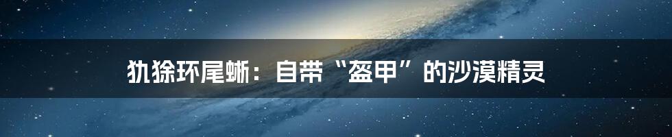 犰狳环尾蜥：自带“盔甲”的沙漠精灵