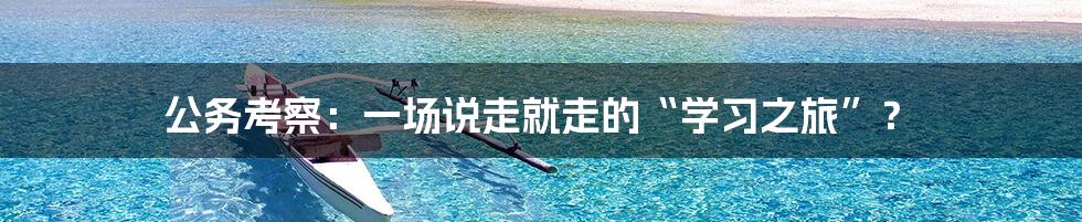 公务考察:一场说走就走的“学习之旅”?