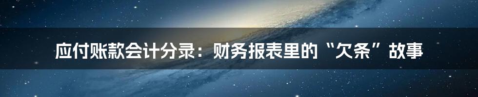 应付账款会计分录:财务报表里的“欠条”故事