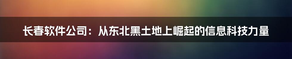 长春软件公司:从东北黑土地上崛起的信息科技力量