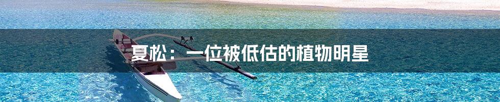 夏松：一位被低估的植物明星