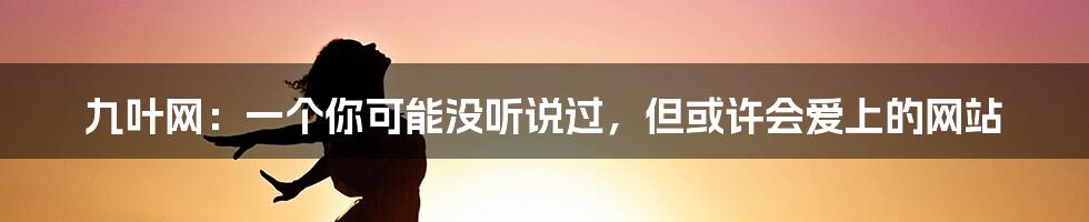 九叶网:一个你可能没听说过,但或许会爱上的网站