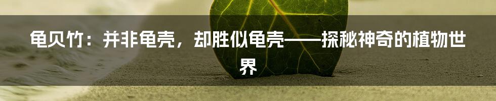 龟贝竹：并非龟壳，却胜似龟壳——探秘神奇的植物世界