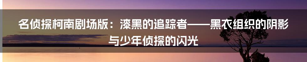 名侦探柯南剧场版：漆黑的追踪者——黑衣组织的阴影与少年侦探的闪光