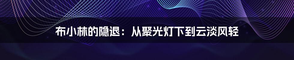 布小林的隐退:从聚光灯下到云淡风轻