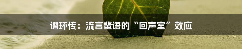 谮环传：流言蜚语的“回声室”效应