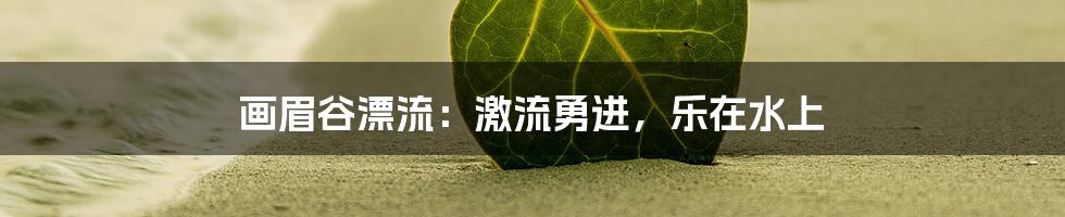 画眉谷漂流:激流勇进,乐在水上