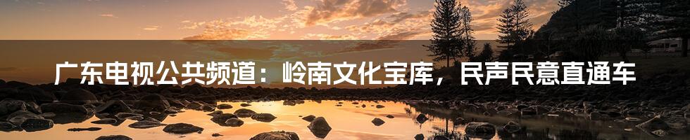 广东电视公共频道：岭南文化宝库，民声民意直通车