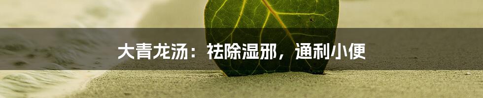 大青龙汤:祛除湿邪,通利小便