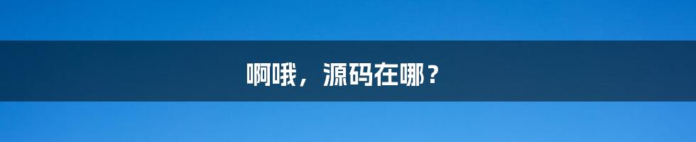 啊哦，源码在哪？