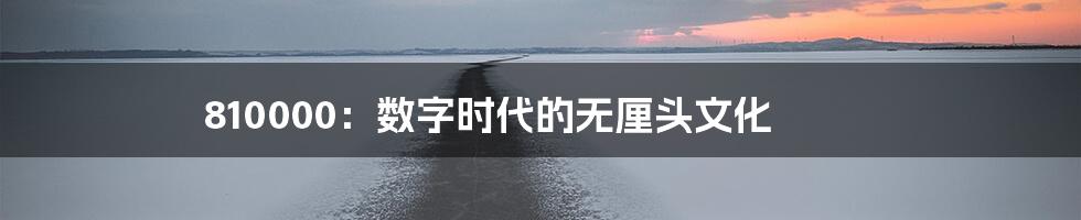 810000：数字时代的无厘头文化