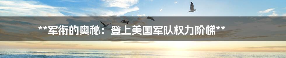**军衔的奥秘:登上美国军队权力阶梯**