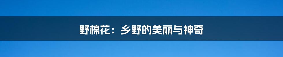 野棉花：乡野的美丽与神奇