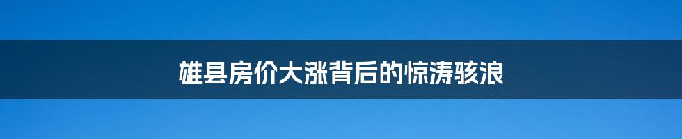 雄县房价大涨背后的惊涛骇浪