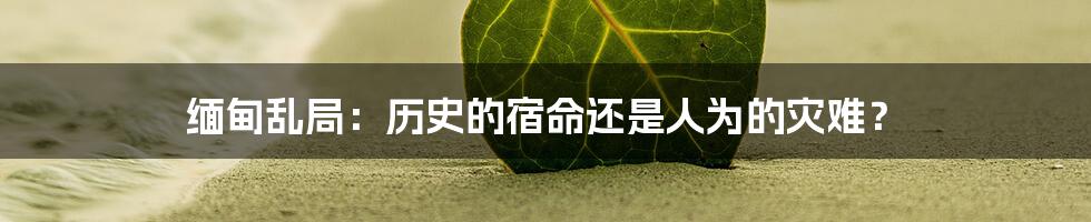 缅甸乱局:历史的宿命还是人为的灾难?