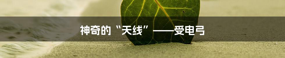 神奇的“天线”——受电弓