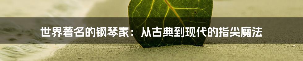 世界著名的钢琴家:从古典到现代的指尖魔法