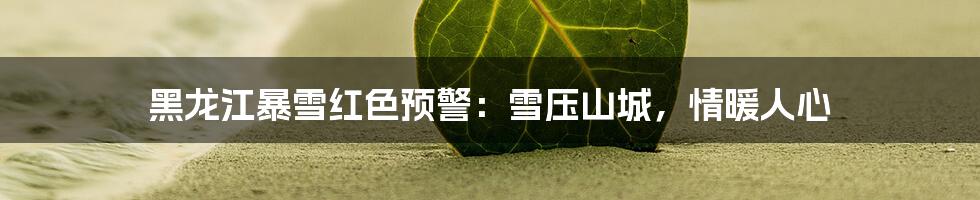 黑龙江暴雪红色预警:雪压山城,情暖人心