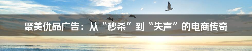 聚美优品广告：从“秒杀”到“失声”的电商传奇